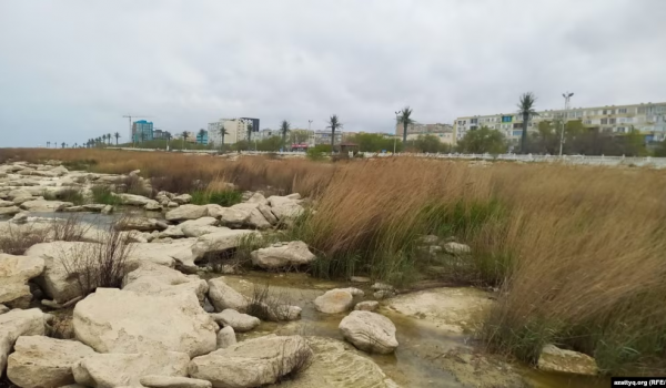 «Мы теряем крупнейший внутренний водоём в мире». Что происходит с Каспием и можно ли остановить обмеление?