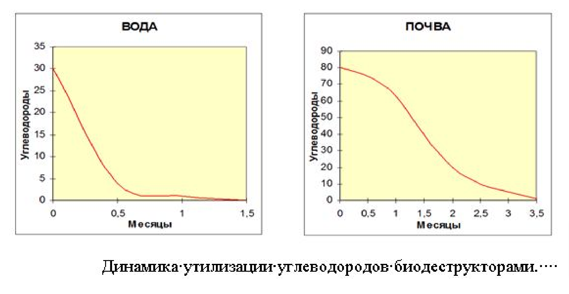 Биологические методы очистки и реабилитации экосистем. 