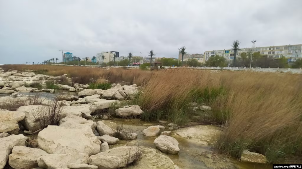 «Мы теряем крупнейший внутренний водоём в мире». Что происходит с Каспием и можно ли остановить обмеление?